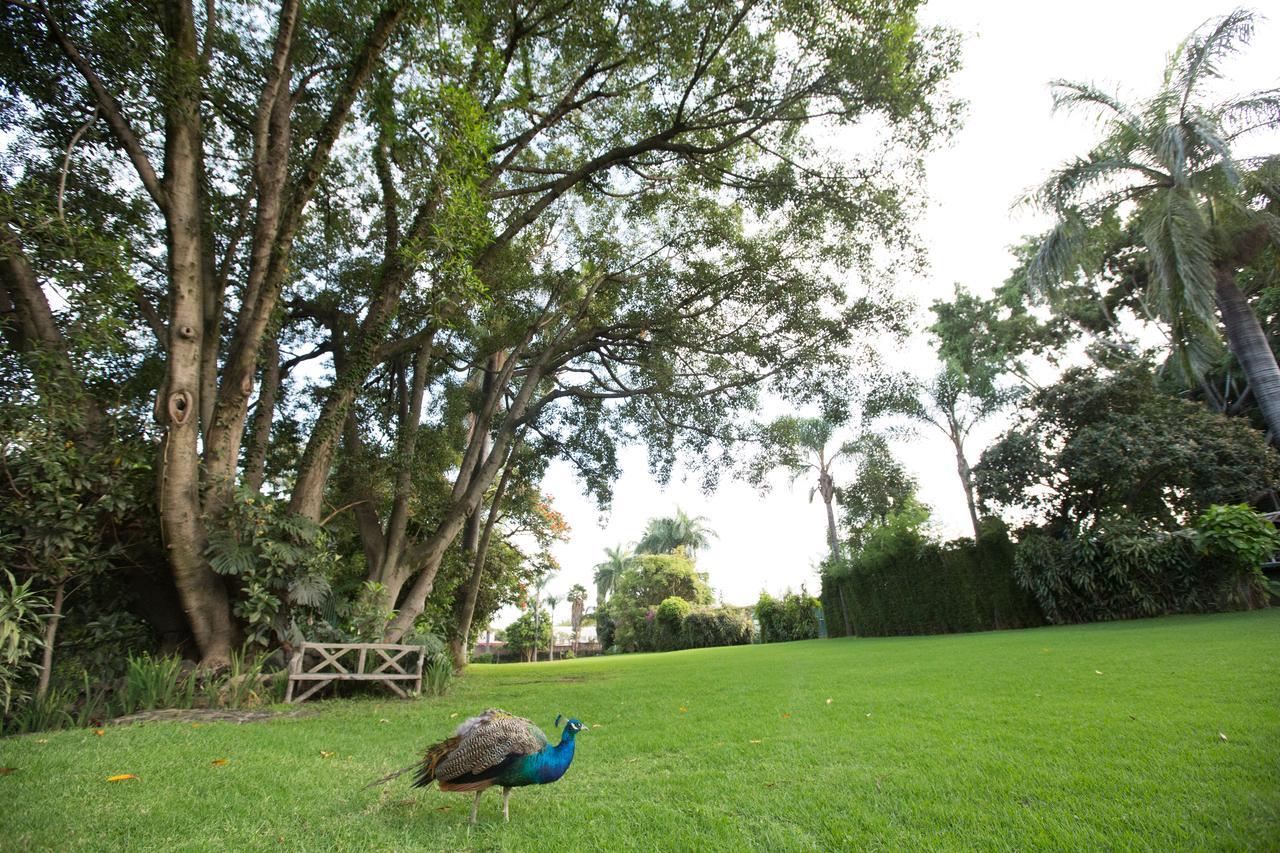 Hotel Jacarandas Cuernavaca Bagian luar foto