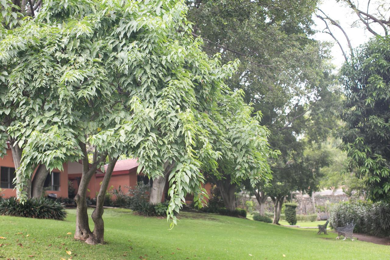 Hotel Jacarandas Cuernavaca Bagian luar foto